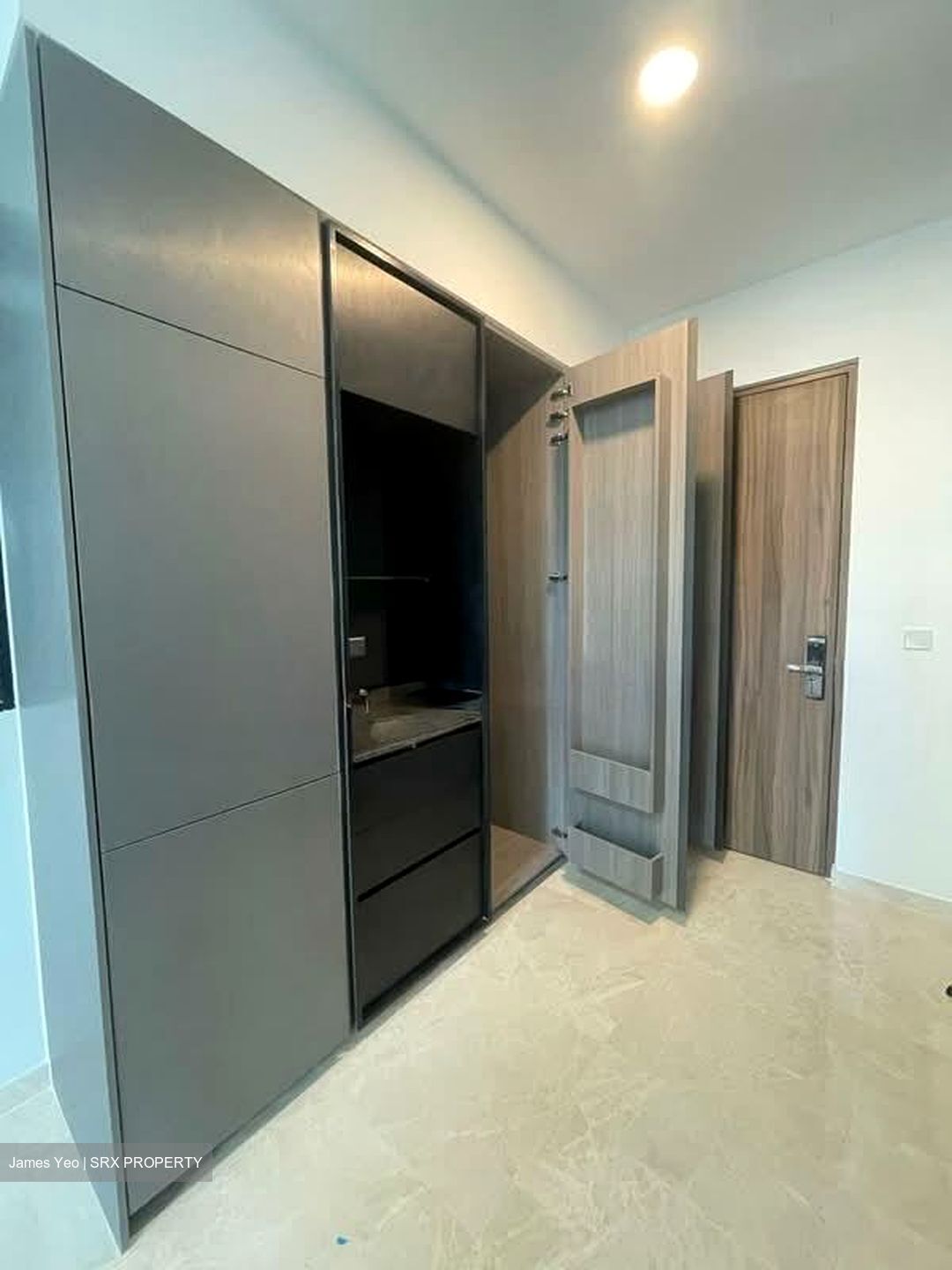 Daintree Residence (D21), Condominium #558976761